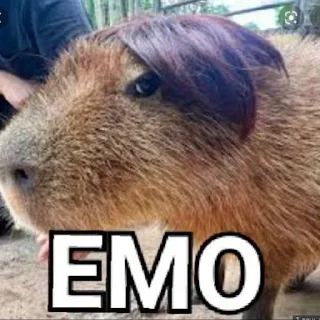 🙁