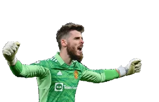 🧤