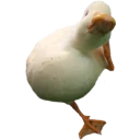 🤸