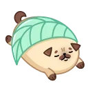 💤