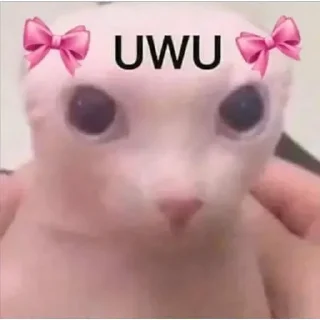 ☺