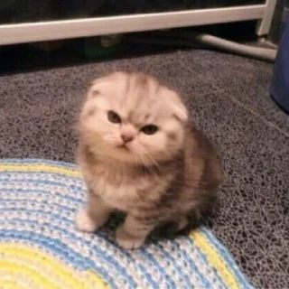 😡