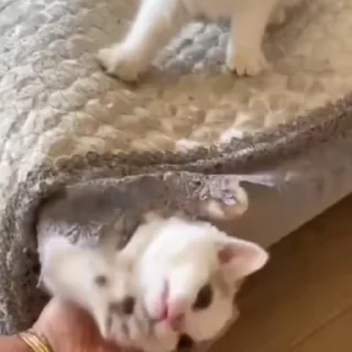 🤛