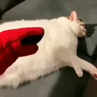 🤯
