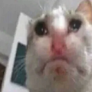 😭