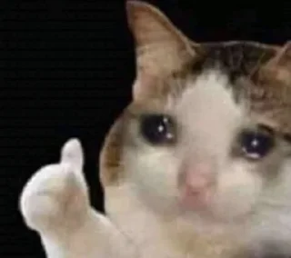 😭