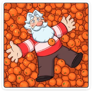 🍊