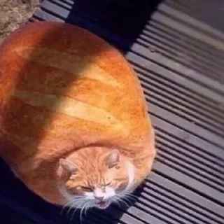 🥖
