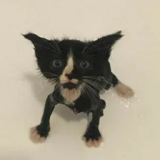 😮