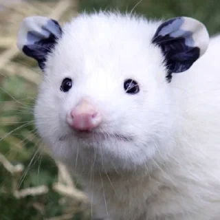 😐