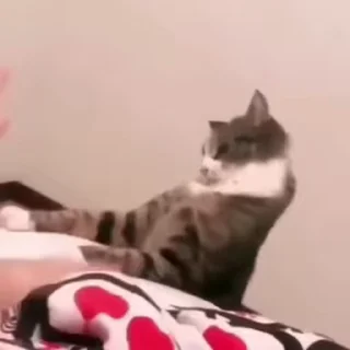 😯