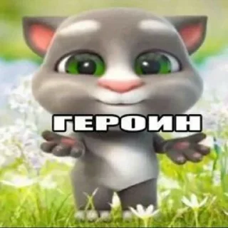 🌟