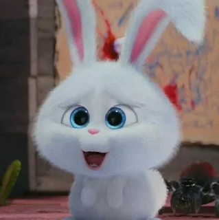 🐰