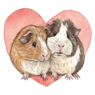 🐹