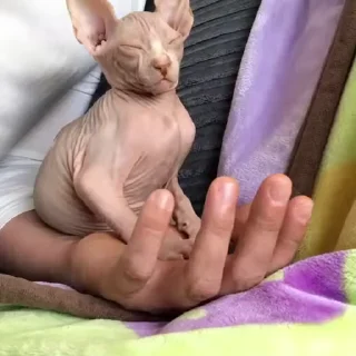 😴