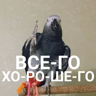 👋
