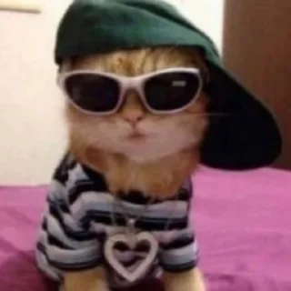 😎