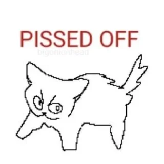 😾