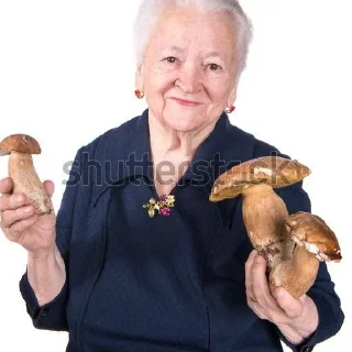 🍄