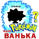 😹