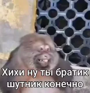 😳