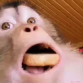 😨