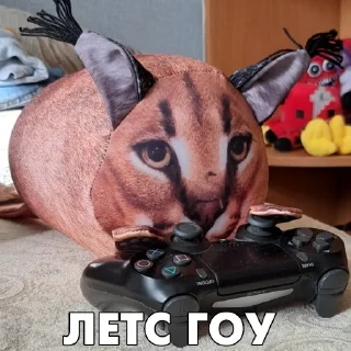 🎮