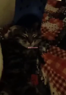 😴