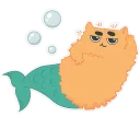 🐬
