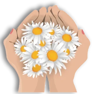 🌸