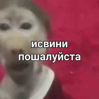 🙏