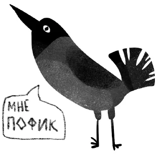 🐦‍⬛