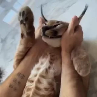 😊