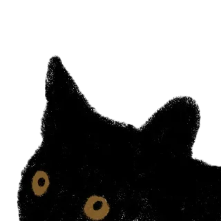 ❔