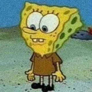 🧽