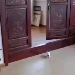 🥺