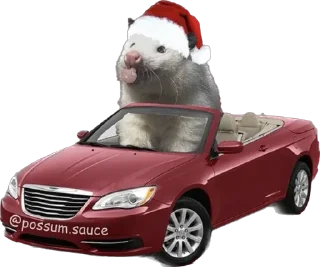 🚗