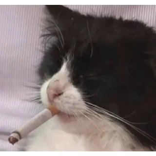 🚬