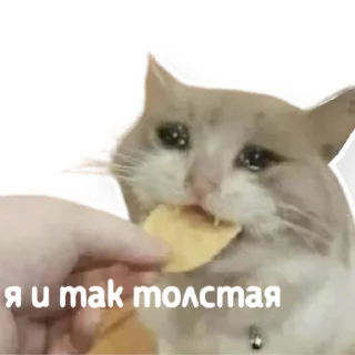 🍔