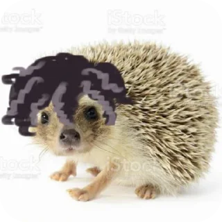 🦔