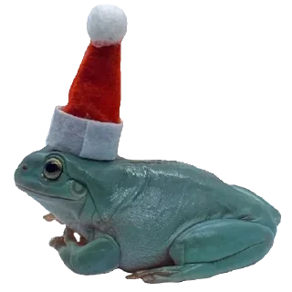 🐸