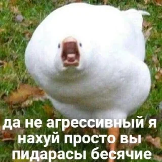🤬