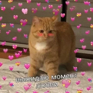 💓