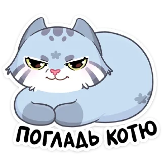 😼