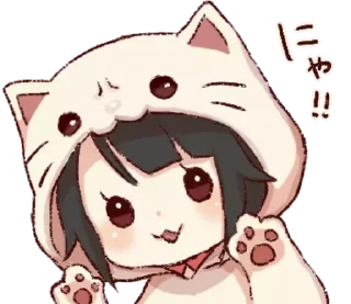 🐱