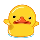 🐽
