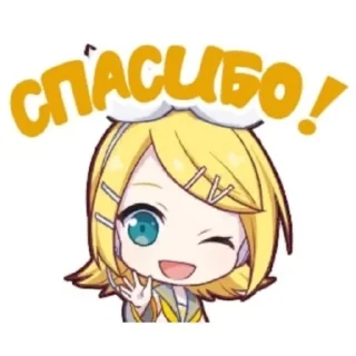🍊