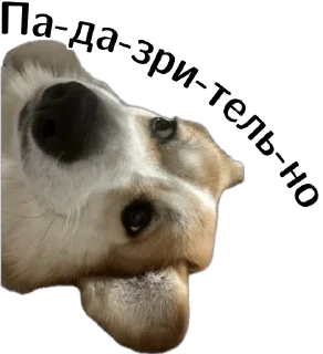 🤔