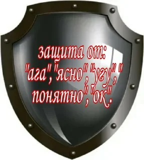 🛡