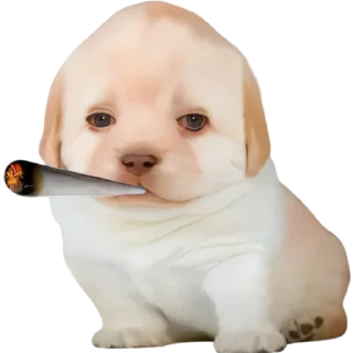 😶‍🌫️